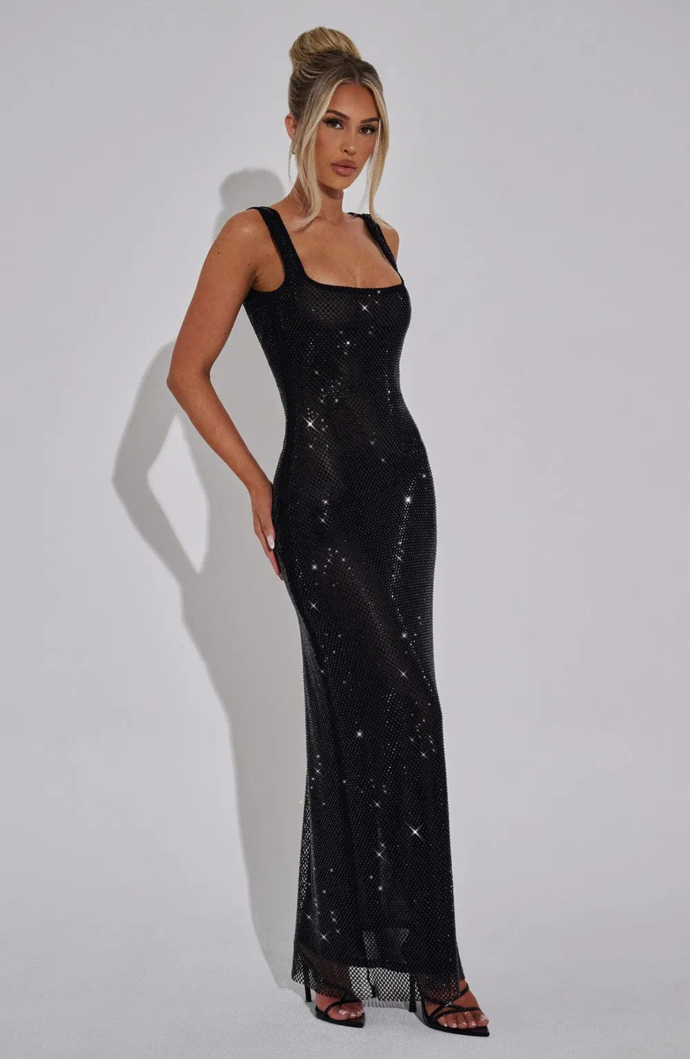 Mariana Sheer Maxi Dress